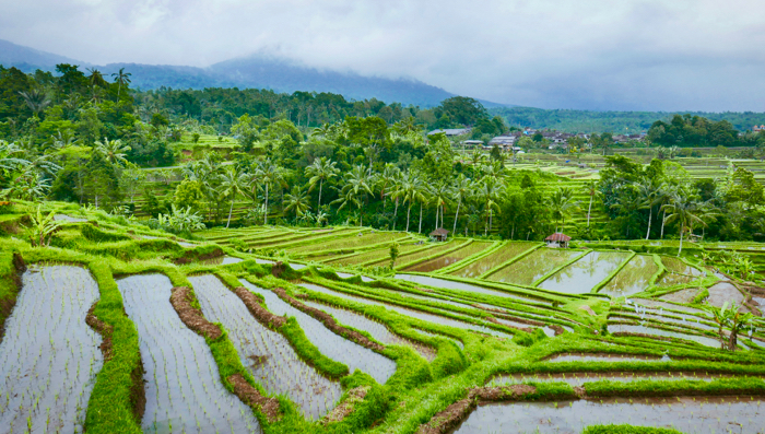 Bali's best kept secrets • allé custom travel planning and travel ...