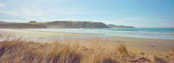 Experience a Kiwi summer like a local