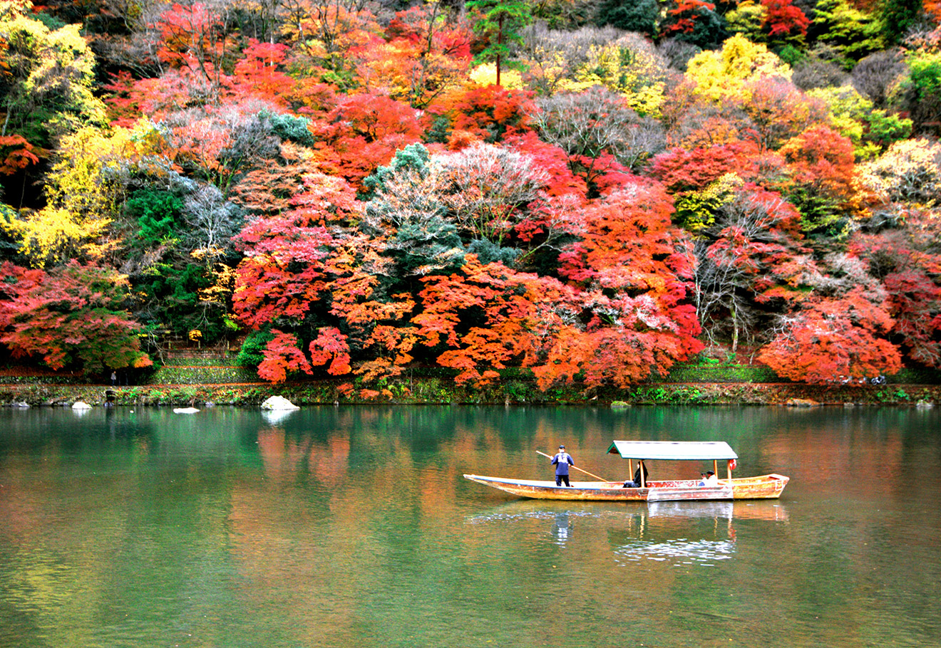 foliage in Japan