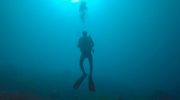 Diving in Bonaire