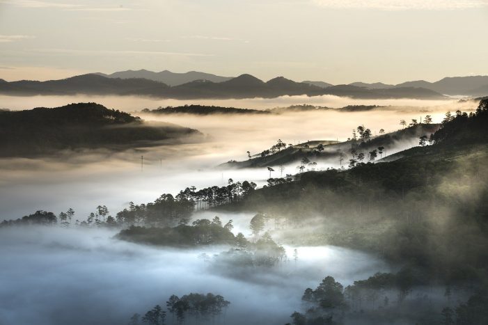 Fog over Dalat, Vietnam