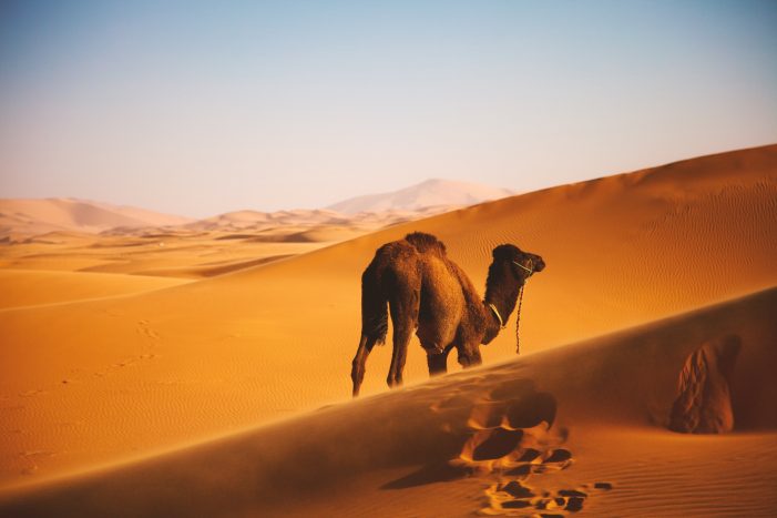 Sahara desert in Morocco