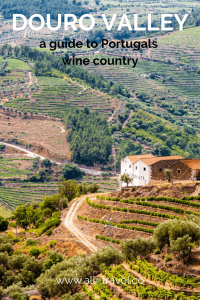 Douro Valley Guide Portugal