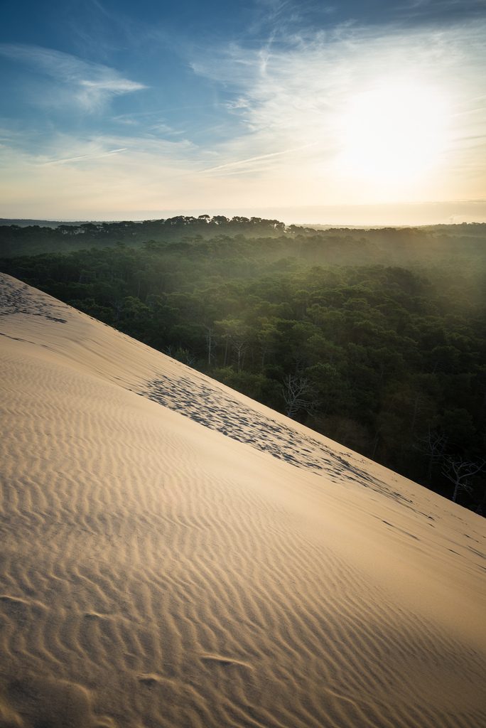 Sand dunes in Pilat