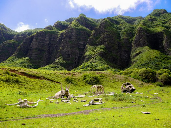 dinosaur bones at Kualoa Ranch Park, Oahu, Hawaii