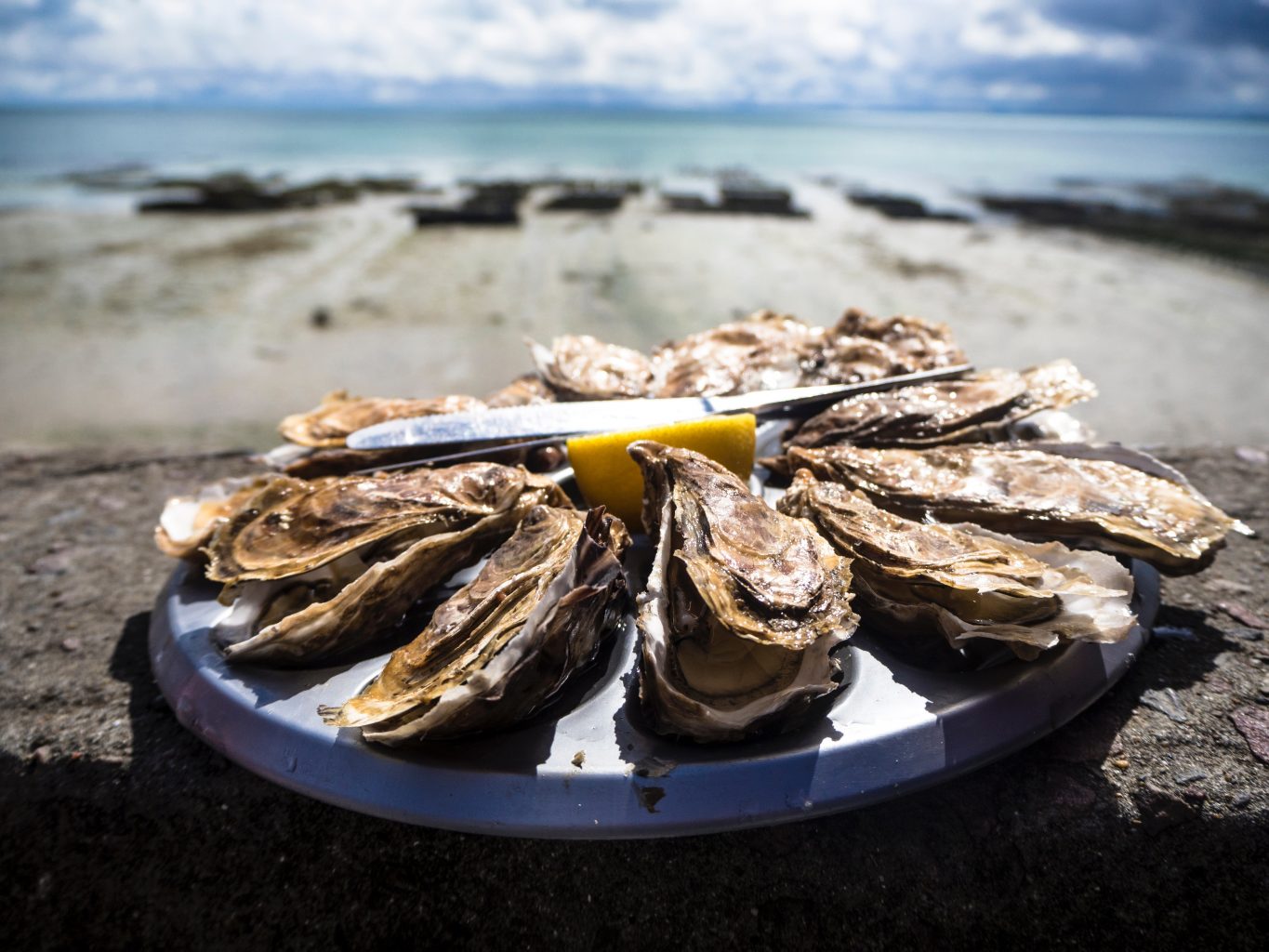 Oysters served on the beach 