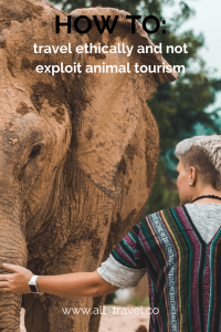 How to travel ethically around animal tourism