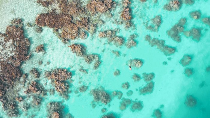 Snorkelling in Vanuatu